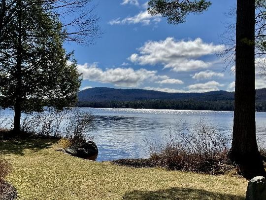Spring Newsletter 2026